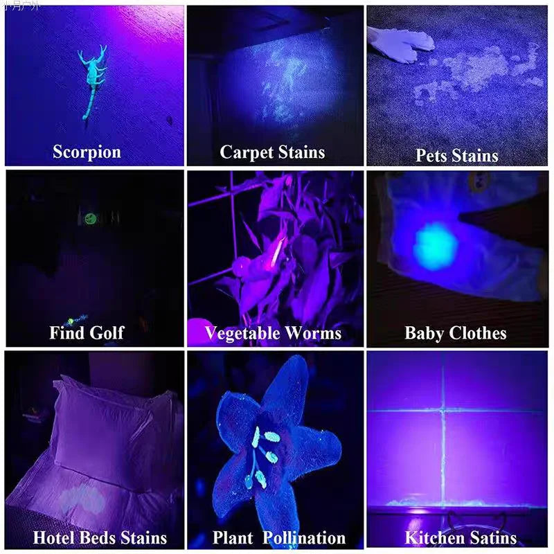 UV Flashlight  High Power Black Mirror Purple Light Detection Torch Powerful 395NM Type-C USB Rechargeable LED Ultraviolet Lamp