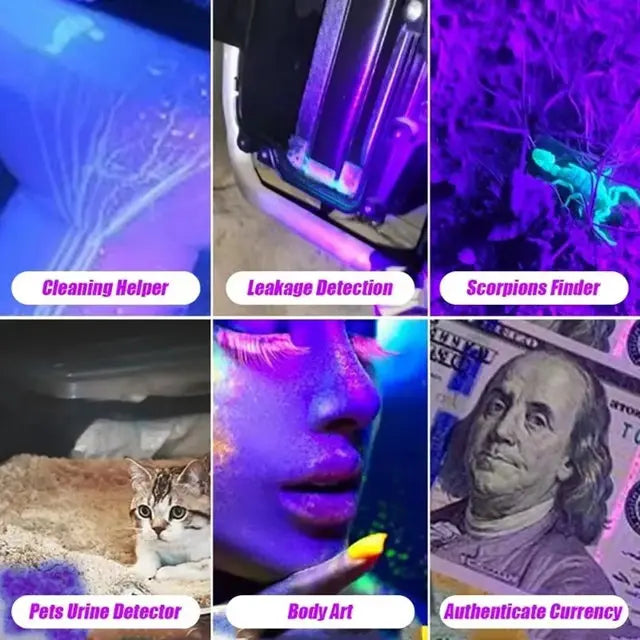 UV Flashlight  High Power Black Mirror Purple Light Detection Torch Powerful 395NM Type-C USB Rechargeable LED Ultraviolet Lamp